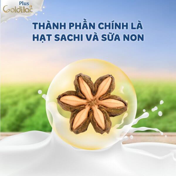 SỮA BỘT GOLDILAC PLUS SỮA NON 28 gói x 14g Nhập Khẩu Mỹ - Hình ảnh 2